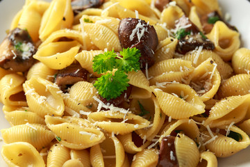 Conchiglie pasta with mushrooms, creamy sauce, parmesan cheese and herbs