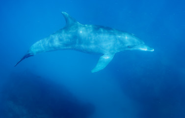 Fototapeta premium MAYOTTE 16