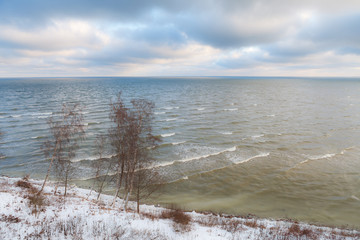 Aerial view of shore of Baltic Sea with calm waves and birches on the coast. Winter time.
