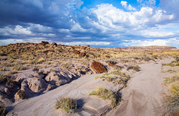 Petrified Forest National Park in Arizona, USA