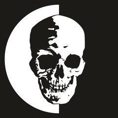 The human skull, terrible head of evil, on a white and black background.