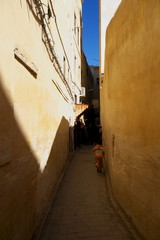 narrow street in fes morocco