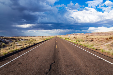 Rural road in Petrified Forest National Park, Arizona, USA