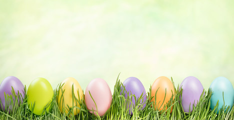 colorful easter eggs in the grass