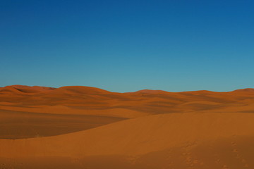 Fototapeta na wymiar sand dunes in the desert Erg Chebbi morocco