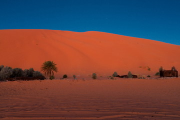 Fototapeta na wymiar sand dunes in the desert Erg Chebbi morocco