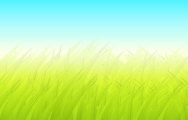 Fototapeta na wymiar Spring background, green blurry grass