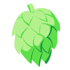 Green hop cone 