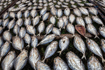 salted dry fish on Netting