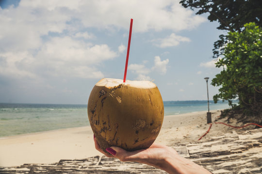 Hand of black woman holding coconut