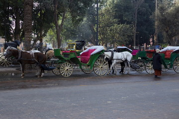 horse and carriage in Marrakech Morocco