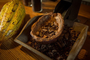 Cocoa beans in big cocoa bean