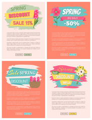 Sale, discount and best offer, label for springtime promotion and advertising, daisy bouquet. Advertisement decorated by flowers, greeting for ladies vector. Website with links buy and read now