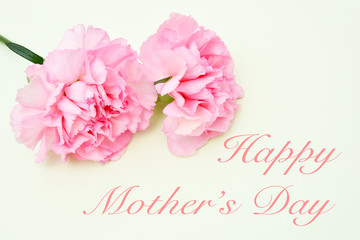 Pink carnation flowers for Mother's day on light green background 
