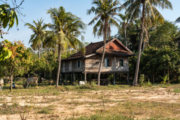 Fototapeta na wymiar Beautiful Countryside trip in tropical rural district, Siem Reap, Cambodia