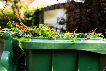 Green wheelie bin / garden waste container filled with fruit and vegetable waste, garden waste, organic waste for composting and fermentation. Recycling garbage for a better environment.