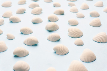 Summer composition with white seashells on the bright blue background