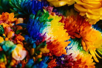 color overload on flower
