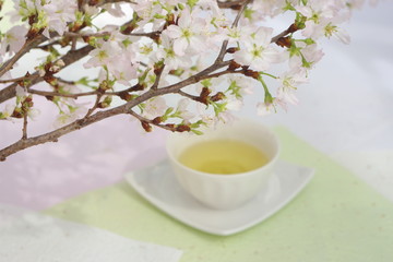 さくらと煎茶