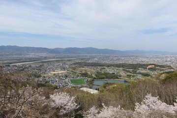 山から見る桜と町の風景