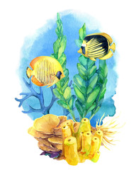 Underwater composition with coral reefs and tropical fish. Hand painted in watercolor. - 259884779