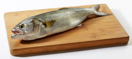 Fresh horse mackerel fish on wooden cutting board