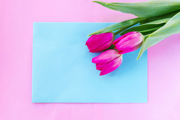 Pink tulips on the blue background in pink frame, mock up. Top view, flat lay.