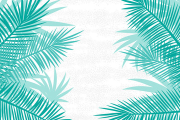 Fototapeta na wymiar Beautiful Palm Tree Leaf Background.