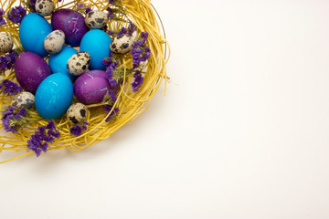 Colored chicken and quail egg in nest with flowers on white background. Easter concept.
