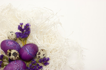 Colored chicken and quail egg in nest preparing for Easter on white background