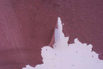 Paint the walls, peel and mold