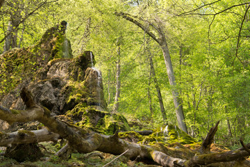 Gütersteiner Wasserfall