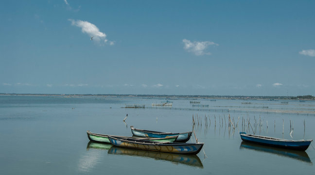 รูปภาพJaffna เลือกดูภาพถ่ายสต็อก เวกเตอร์ และวิดีโอ850 Adobe Stock