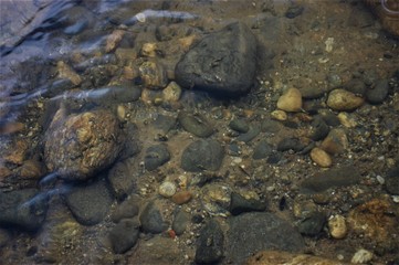 Obraz premium Under Water