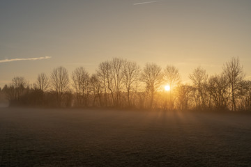 Rußberg im Frühling