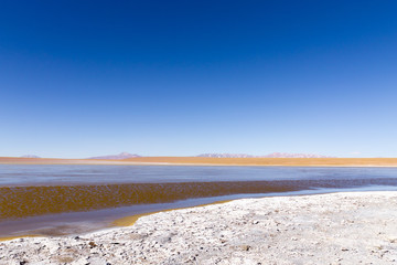 Bolivian lagoon view,Bolivia