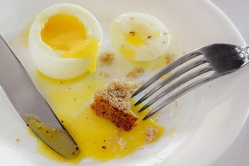 breakfast food. Sliced boiled egg in a plate wuth cut of bread