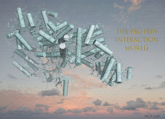 The protein interaction world _sky