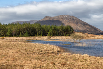 Fototapeta na wymiar Mountain, lake and vegetation at Western way trail in Lough Corrib
