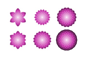 Geometric Circular Floral Star Shapes with Isolated Elements