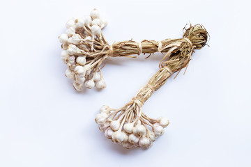Garlic on white background.