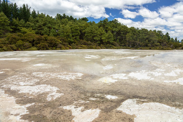 geothermal activity at Rotorua in New Zealand