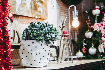 Décoration d'intérieur, plante verte et lumière