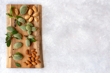 Organic fresh green and dry almonds 