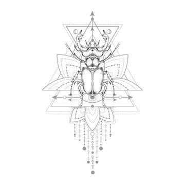 Vector illustration with hand drawn stag beetle and Sacred geometric symbol on white background. Abstract mystic sign.