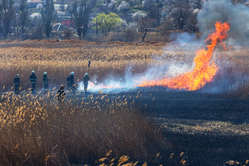 Raging forest spring fires. Burning dry grass, reed along lake. Grass is burning in meadow....