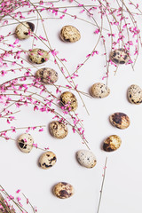 Quail eggs with pink flowers on a white background, flat, top view