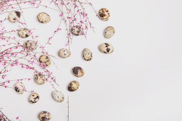 Composition on a white background of quail eggs and branches with pink flowers