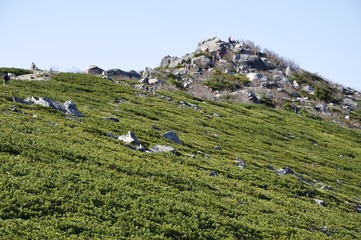 ハイマツ茂る金峰山