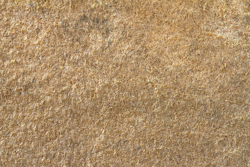 texture or background pressed sawdust